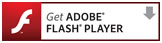 Adobe Flash Player